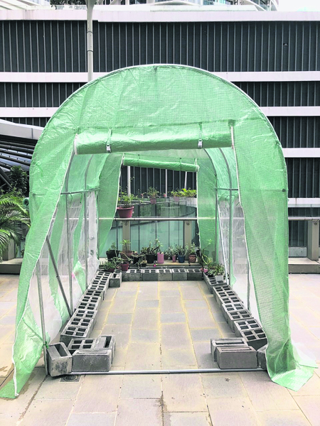 透明篷就是最好的空间，可以让多肉植物有足够的光照之余，也可以遮阳避雨。