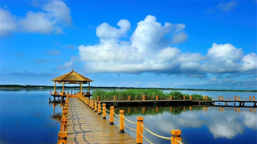 兴凯湖湿地公园有步道可以漫步赏湖景。