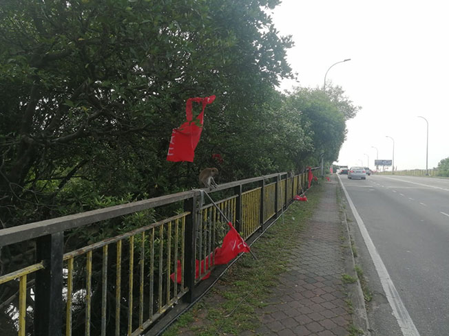 希盟北赖东姑桥插上约100支希盟旗帜，为峇都交湾国会选区准候选人曹观友造势。