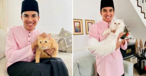 赛沙迪公布 净财产逾191万 两只猫也申报 “无价之宝”