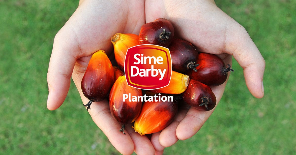 森那美种植, Sime Darby Plantation, 