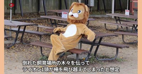 大阪地震模拟演习 职员假扮狮子笼中逃跑　