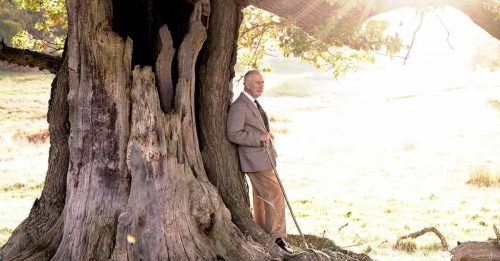 英王查理斯74岁生日 倚树享受冬日暖阳