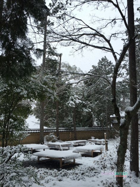 效仿自衣笠山的池泉回游式庭园里，有很多风格别致的日式造景。