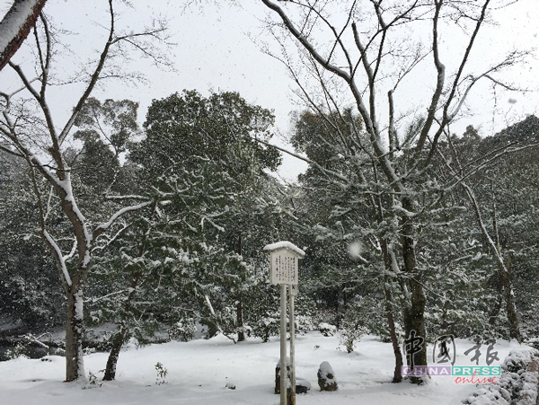 效仿自衣笠山的池泉回游式庭园里，有很多风格别致的日式造景。