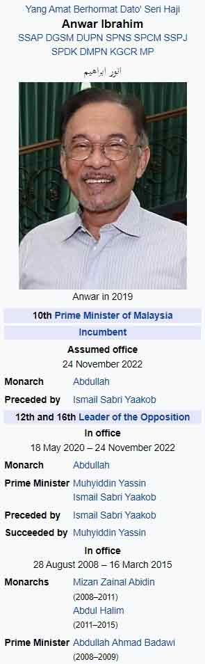 安华的维基百科页面资料，在周四（24日）傍晚已更新成马来西亚第10任首相。