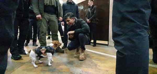 苏纳克还探望乌克兰互国小英雄扫雷犬派顿（Patron） 。