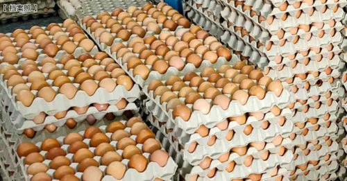 为解决蛋供问题 蛋鸡业者下周呈备忘录