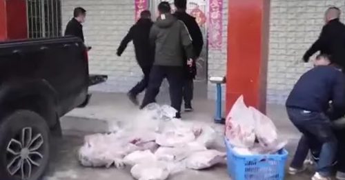 中国警查获 逾800公斤毒狗肉