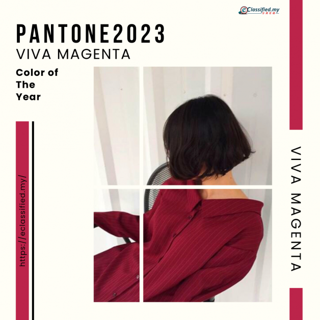 Pantone2023 5