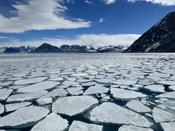 南极洲的冰架断裂、冰海溶化，比你想像中还严重！这不仅让原本纯洁宁静的南极遭受莫大冲击与破坏，企鹅们仰赖以生的磷虾也渐渐消失！