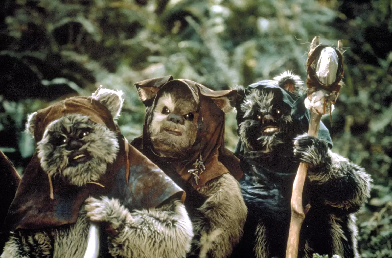 盖瑞弗莱德金曾在《星球大战六部曲：绝地大反攻》饰演伊娃族的角色。
