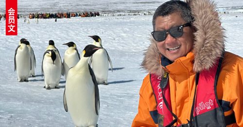 ◤会员文：出游有理◢到南极一会帝王企鹅