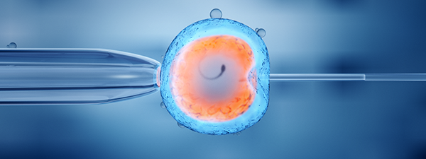 胚胎植入前基因检测是与体外受精疗程相辅相成的人工助孕技术之一，目的在于筛选出可能影响胚胎健康的基因遗传问题。