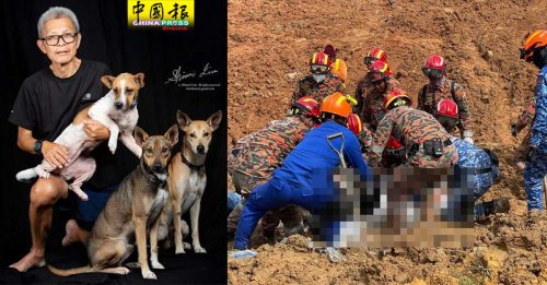 ◤峇冬加里露营地土崩◢找到爱狗男遗体  全靠它指引