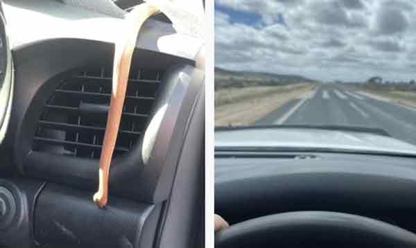 小蛇从冷气孔里钻出来。