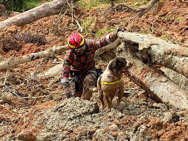 family 峇冬加里 露营地 土崩 Batang Kali
