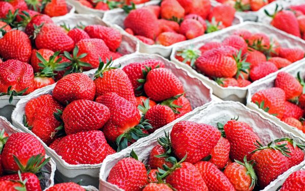  知道草莓为什么叫草莓吗？因为其他大多数莓类都是灌木植物，只有草莓是草本植物。