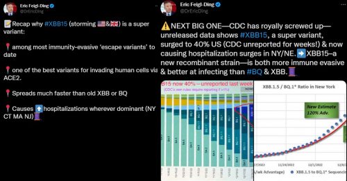 ◤全球大流行◢ XBB.1.5感染力最强 专家：美国恐爆下波大疫情