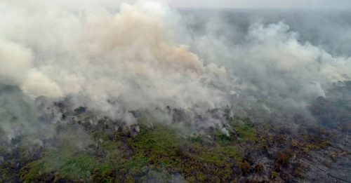 拉尼娜现象3月结束 印尼旱季林火风险高