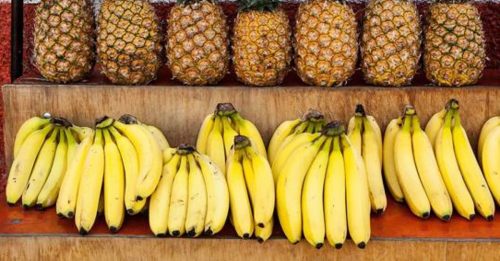 中国商务部：菲律宾已成最大凤梨香蕉进口国