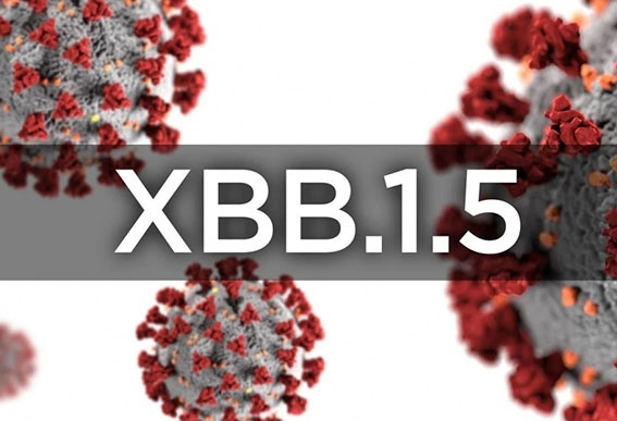 南非证实国内出现首例XBB.1.5感染。（示意图）