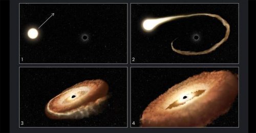 3亿光年恒星 被黑洞吞噬！撕裂辐射  有如甜甜圈