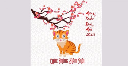12生肖沒有兔 2023 越南人喜迎貓年