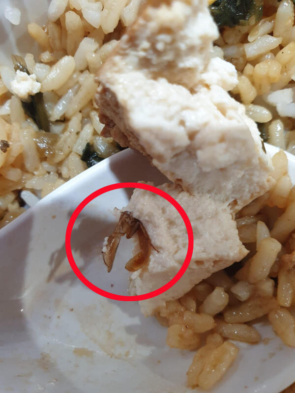豆干中有半只蟑螂，蟑螂的半段身体、尾部、脚等还清晰可见。（受访者提供）