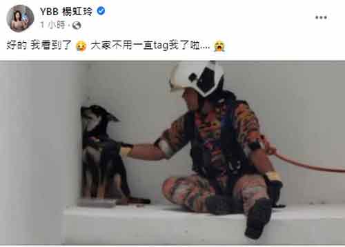 
杨宝贝在面子书上传了一张消拯员在公寓墙沿哄狗的图片。