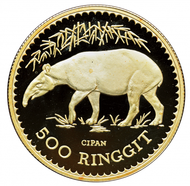 1976年马来貘500令吉精制纪念金币，最高出售价可达5万令吉。