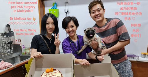 林把一：论马来西亚的进步──抢救狗狗有感而发