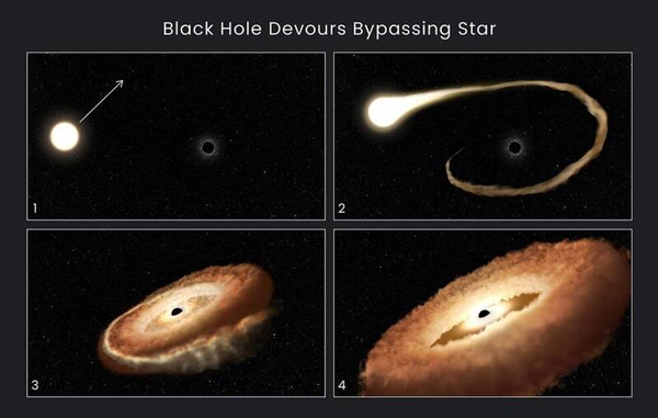 NASA公布当恒星被黑洞撕裂成“甜甜圈状”的想像图。 