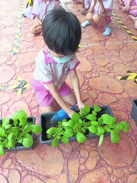 幼儿学习种植法：土壤种植和气雾耕。