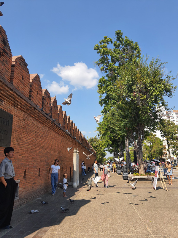 东门塔佩门是18世纪末兴建的城墙，如今在老城已成了游客们与鸽子合照的打卡区。
