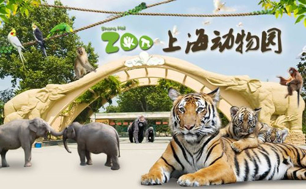 上海动物园位于上海市长宁区虹桥路2381号，始建于1954年。