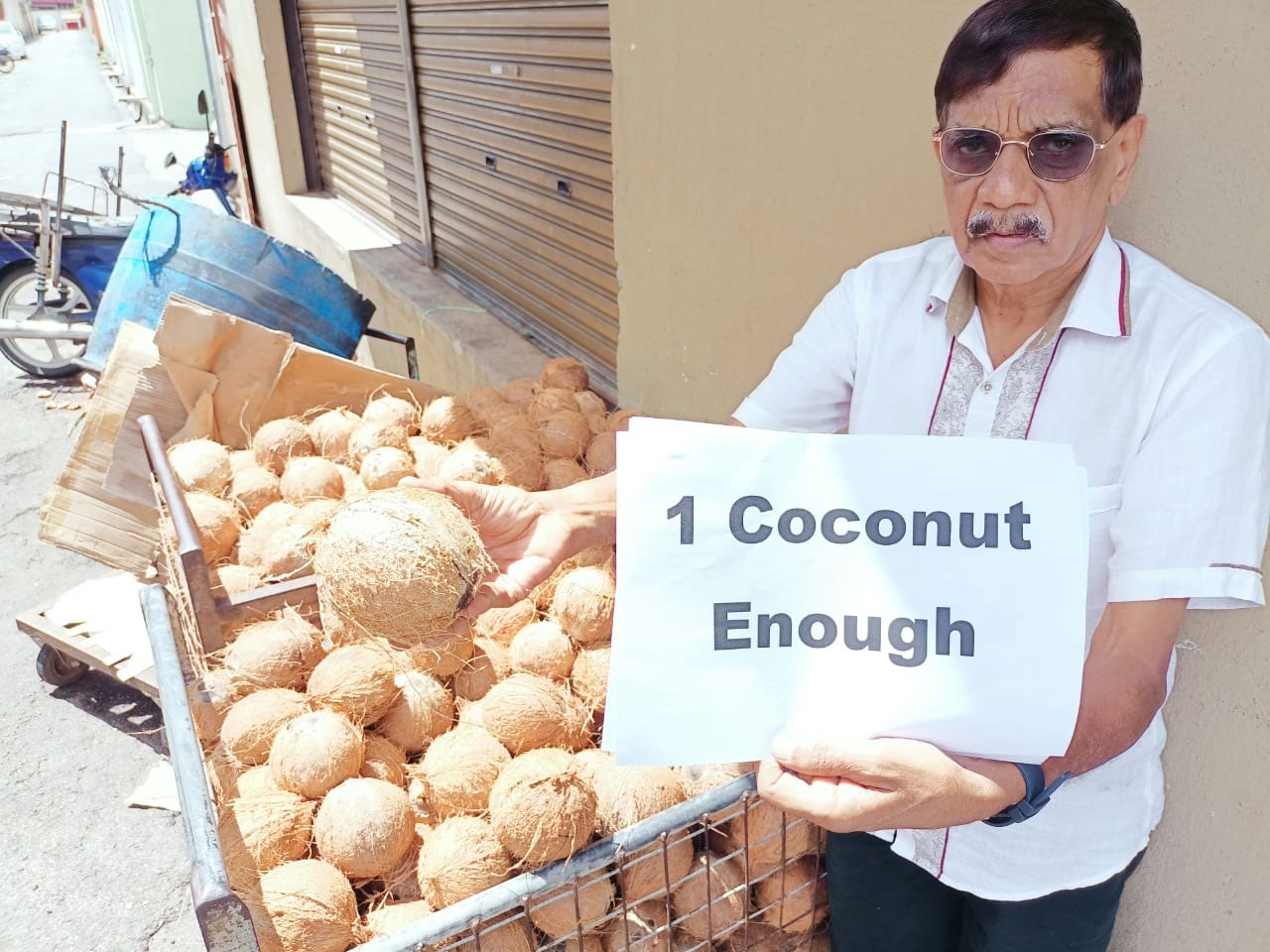 椰子, coconut