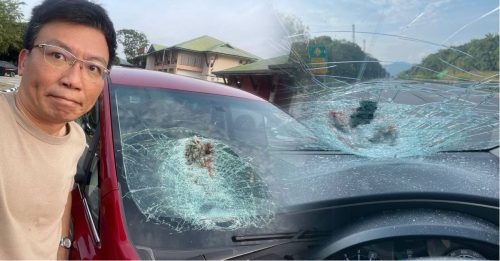 撞上过马路野鸡 轿车挡风玻璃直接爆裂！