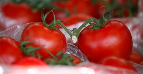 气候紊乱 货源中断 英国买不到番茄