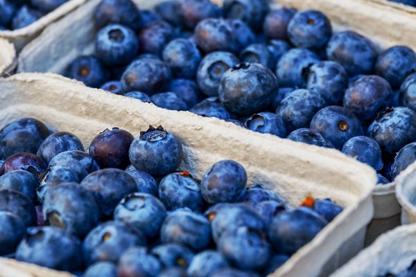 蓝莓表面的蜡形成一种保护层，可以防护外来细菌、霉菌或是昆虫对蓝莓的伤害，也可以减缓蓝莓内部水分经过表皮的散失。
