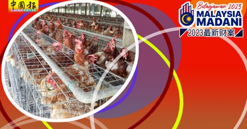 ◤2023最新财案◢ 津贴养鸡业者 鼓励使用封闭式笼养系统