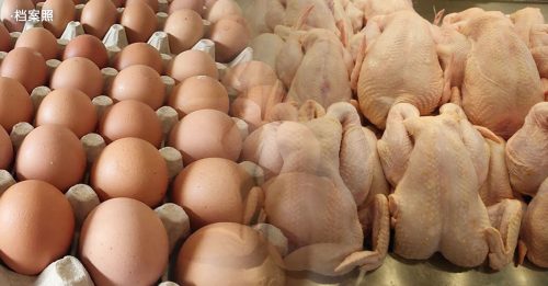 农业及食品安全部：鸡蛋 鸡肉津贴维持至6月