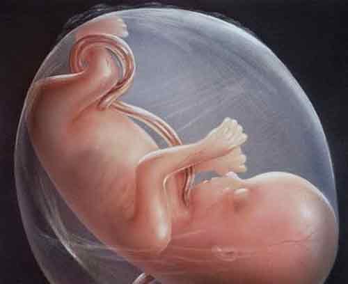 引起自然流产的原因主要有胚胎疾患和母体疾病两个方面。