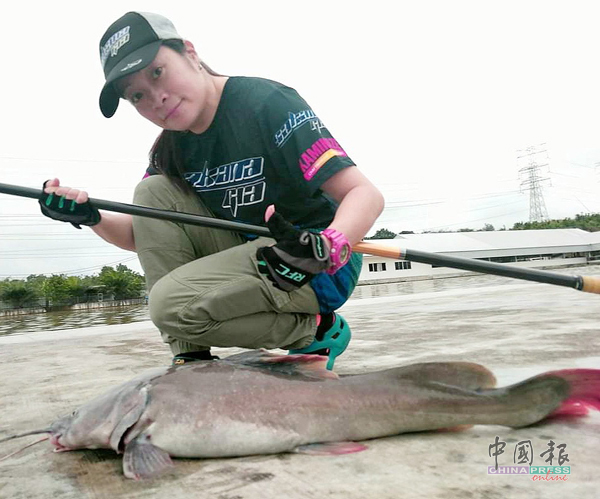 黎玲在霹雳州美冷的钓鱼场用手竿拉上红尾白须公。