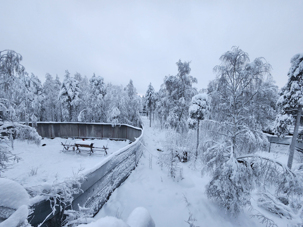 拉努阿动物园～芬兰连动物园都是铺天盖地的白雪世界。