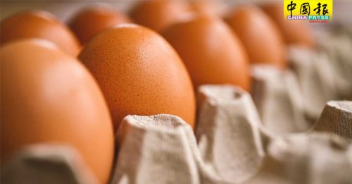 再创30年新高  日本鸡蛋批发价1kg 11令吉　