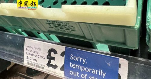 英国进口蔬菜供应紧张 多家超市推限购令
