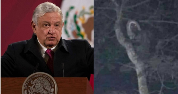 墨西哥总统发推称拍到玛雅传说中的精灵。