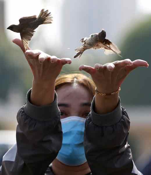 2月27日，一名女子在金边皇宫附近放飞鸟类，希望带来好运。（欧新社）