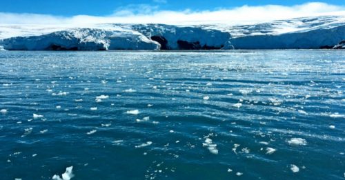 暖化警讯  南极海冰面积创45年新低
